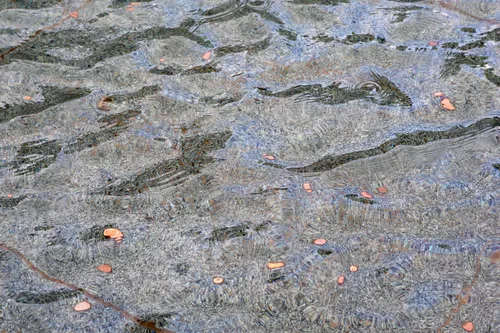 Laisvės alėjos fontanas / M. Patašiaus nuotr.