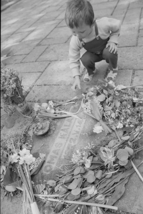 pradzios foto scaled