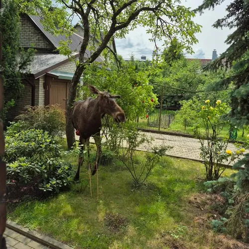 494577200 1089543783080964 3785533110377104095 n 1