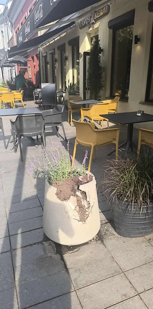 519395916 1958769171616902 2122333015264527984 n