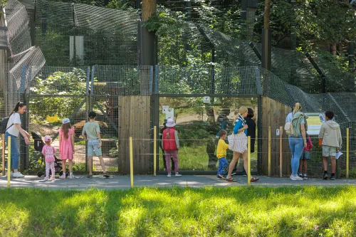 Zoologijos sodo gimtadienis / R. Tenio nuotr.