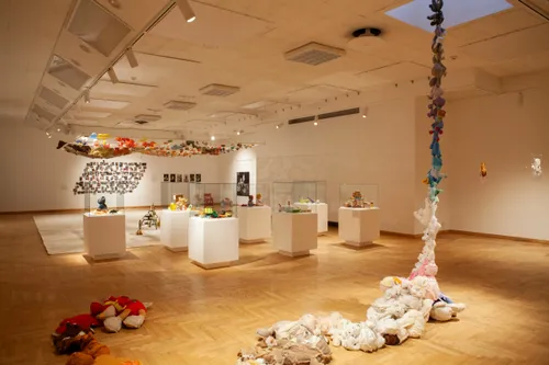 m plioplyte zujiene virsmai ir jungtys foto marija valaseviciute scaled