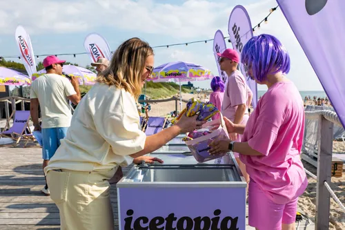 Icetopia „Chill“ ledų festivalis / Organizatorių nuotr.