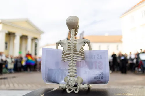 Protestas "Prezidente, kur Jūsų stuburas?" / ELTA / Ž. Gedvilos nuotr.