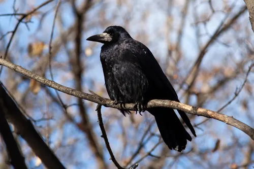 7au3uznxzwipng 2280x1520 alias newshudge crop smart subsampling 2 upscale