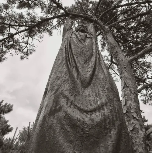 22e98d12-48d6-43f1-99cf-92100ef8d944