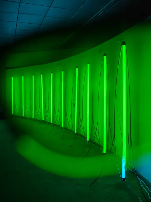 5. Audra, fotodokumentacija, Lukas Mykolaitis