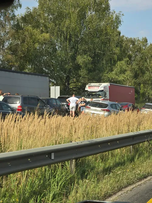 541729618 24796503659953532 6155510095033578638 n