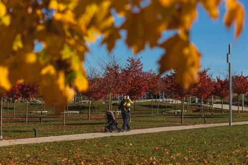 Ruduo Kaune / R. Tenio nuotr.