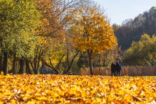 Ruduo Kaune / R. Tenio nuotr.