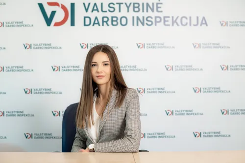 darbo teises skyrius ieva piliciauskaite dulke