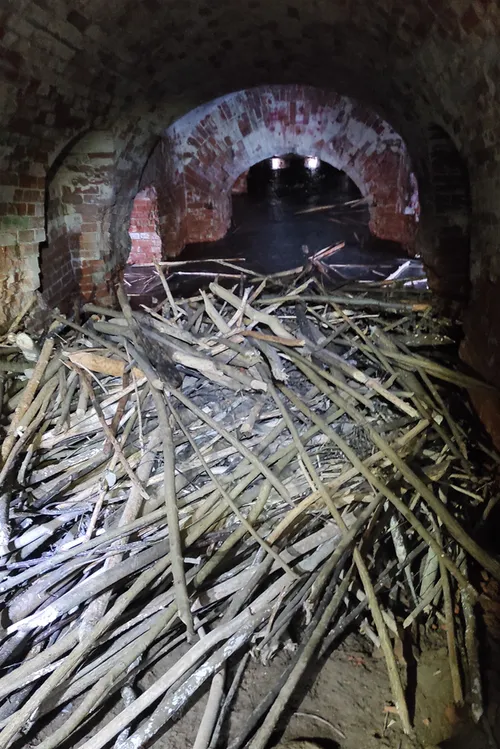 Fortas / M. Kirstuko nuotr.