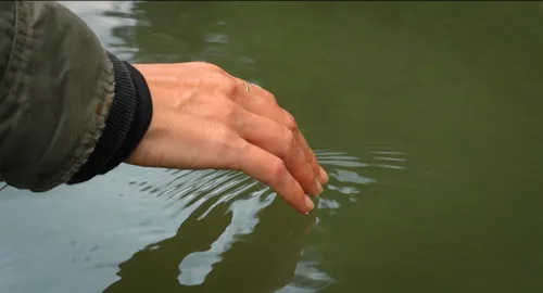 hand in the water whanganui river scaled