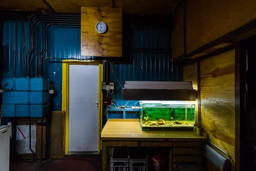 mariusz forecki w pracy forecki 01 scaled