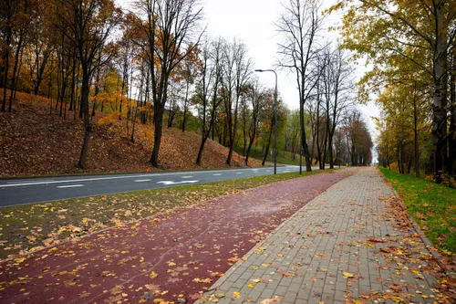 nauji pesciuju ir dviratininku takai