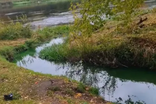 untitled design 1 16