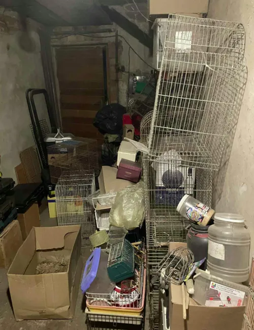 104434957 b8d0ed45 dabc 4ab9 b83f 2e65fd33d5fa