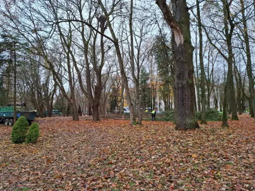 Vydūno al. 4 vykdomi darbai / „Girių inspekcija“ nuotr.