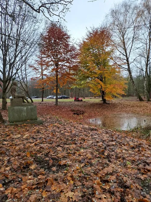 Vydūno al. 4 vykdomi darbai / „Girių inspekcija“ nuotr.