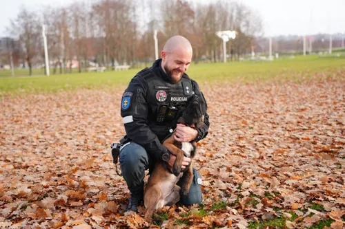 584298997 830267676374937 6559017008034389374 n