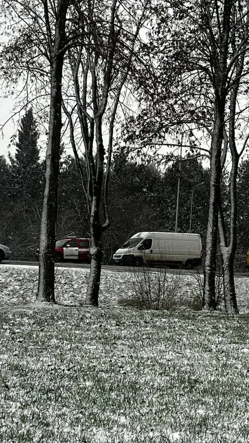 589205026 25646604535029092 7078006786227095677 n