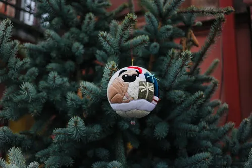 Žemųjų Šančių eglutė / org. nuotr.