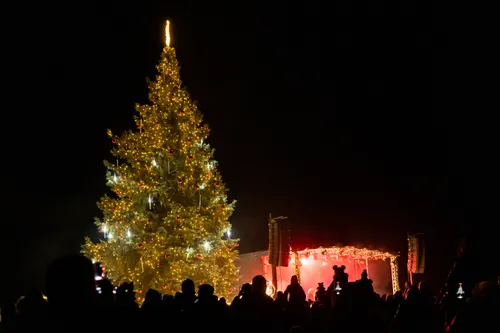 jarufoto zapyskis 2024 100