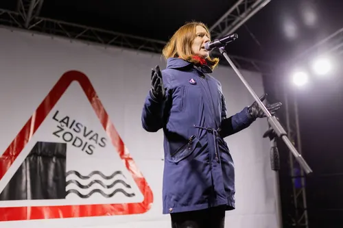 Protestas „Šalin rankas nuo laisvo žodžio!“ / R. Riabovo / BNS nuotr.