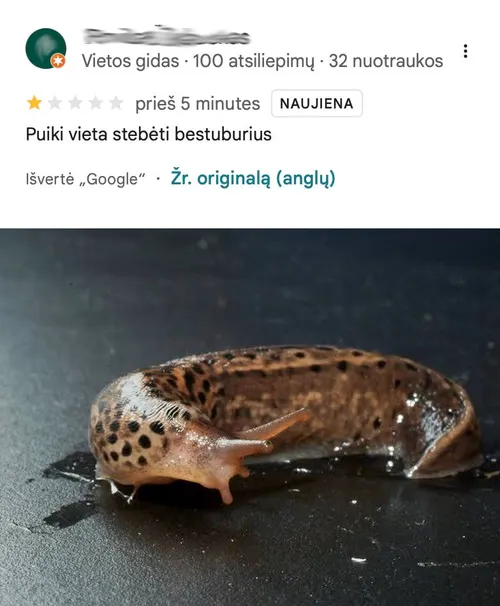 Atsiliepimas / DELFI nuotr.