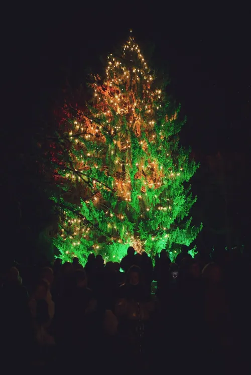 original_Kaledu_sutiktuves_Obelyneje_20241225_0066