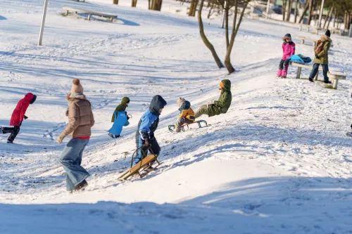 Kalnai, vaikai, žiema, rogutės Paskutinė metų diena Kaune / R. Tenio nuotr.