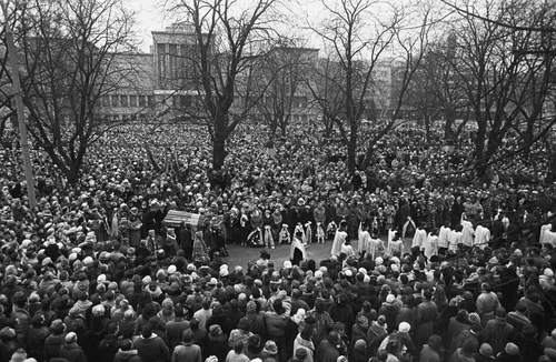 02139f95d8fe6ff6ff8a0eab5be9d6a3