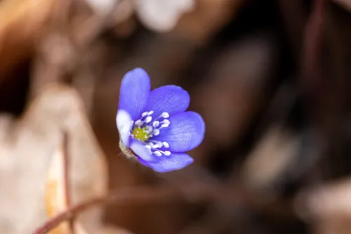 21397370 c7d8 11ed 9d6e 9d360b13c177