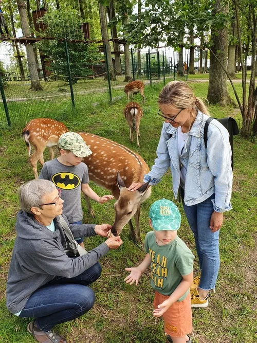 584bd665fe7dc684f1f4319c36248684