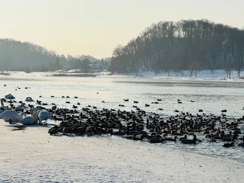 621179477 25433975822939786 2379396984749380867 n