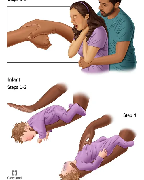 623365175 1493236579473492 8668351015657603030 n