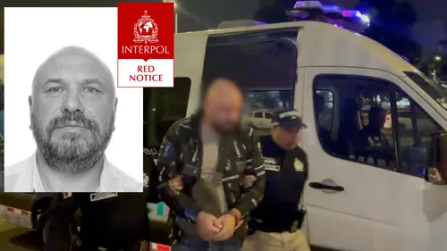 67ab3b8ce2a3f6e7a5e8238d labucio sulaikymas