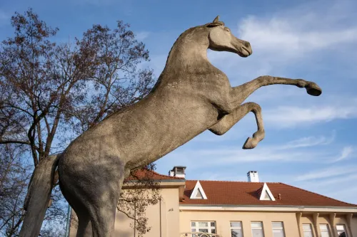 7f5be7ef17ec88126759372b5f200441