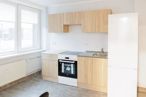 Gerumo rankų namai Vilijampolėje / R. Tenio nuotr.