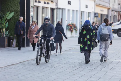 Pavasaris Laisvės alėjoje / R. Tenio nuotr.