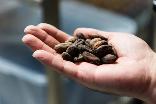 b4d3fd0e 6acd 4297 83c6 a7f0b9be4581