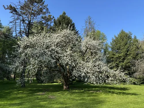 e9f539c46f56ad6ff083dbed18ac9ef9 scaled