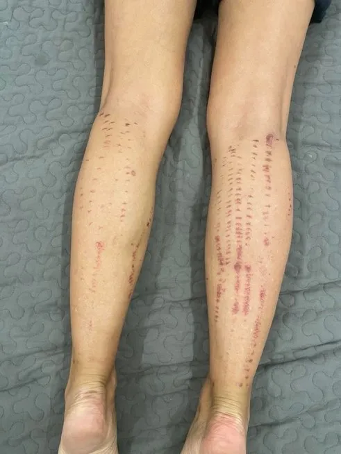 f91119398b80e11c211f947c02bece9d