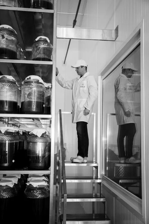 Putojanti arbata „ACALA“ / Organizatorių nuotr.