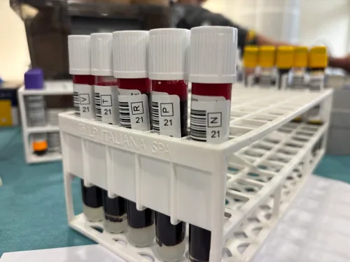 Kraujas / NKC nuotr.