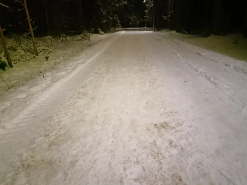 Takas Kleboniškio miške / „Lygumų slidinėjimas. Kaunas“ grupės nuotr.