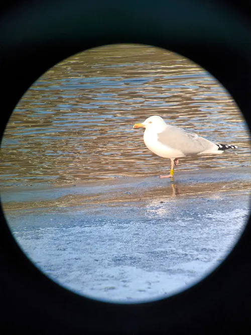 m ilciuko nuotr 3 scaled