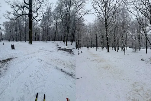 Takai Ąžuolyne / „Lygumų slidinėjimas. Kaunas“ grupės nuotr. / „Kas vyksta Kaune“ montažas