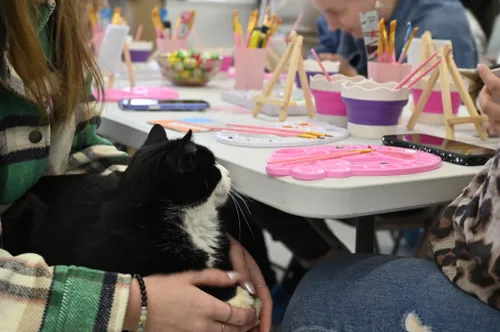 VšĮ „Rožinė pėdutė“ renginiai / Organizatorių nuotr.