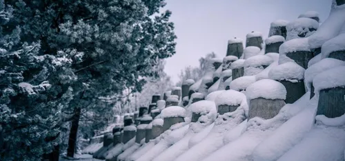 Lenkija tvirtina savo sienas su Rusija ir Baltarusija